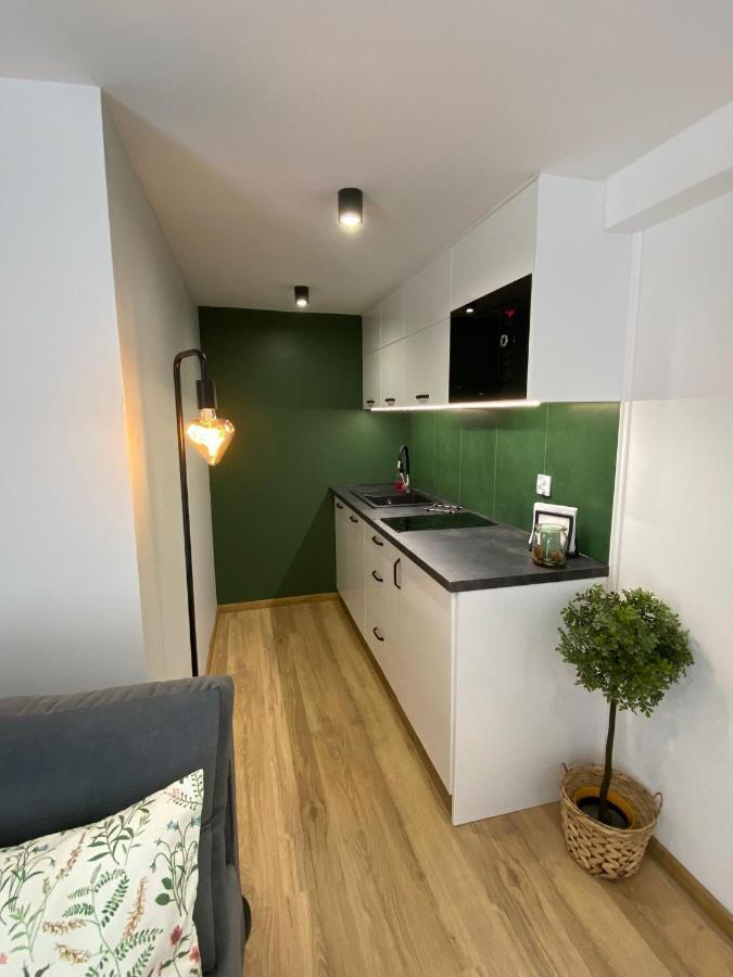 U Gazdy - Apartament Z Ogrodem I Tarasem , Przy Gondoli Szczyrk Exteriér fotografie
